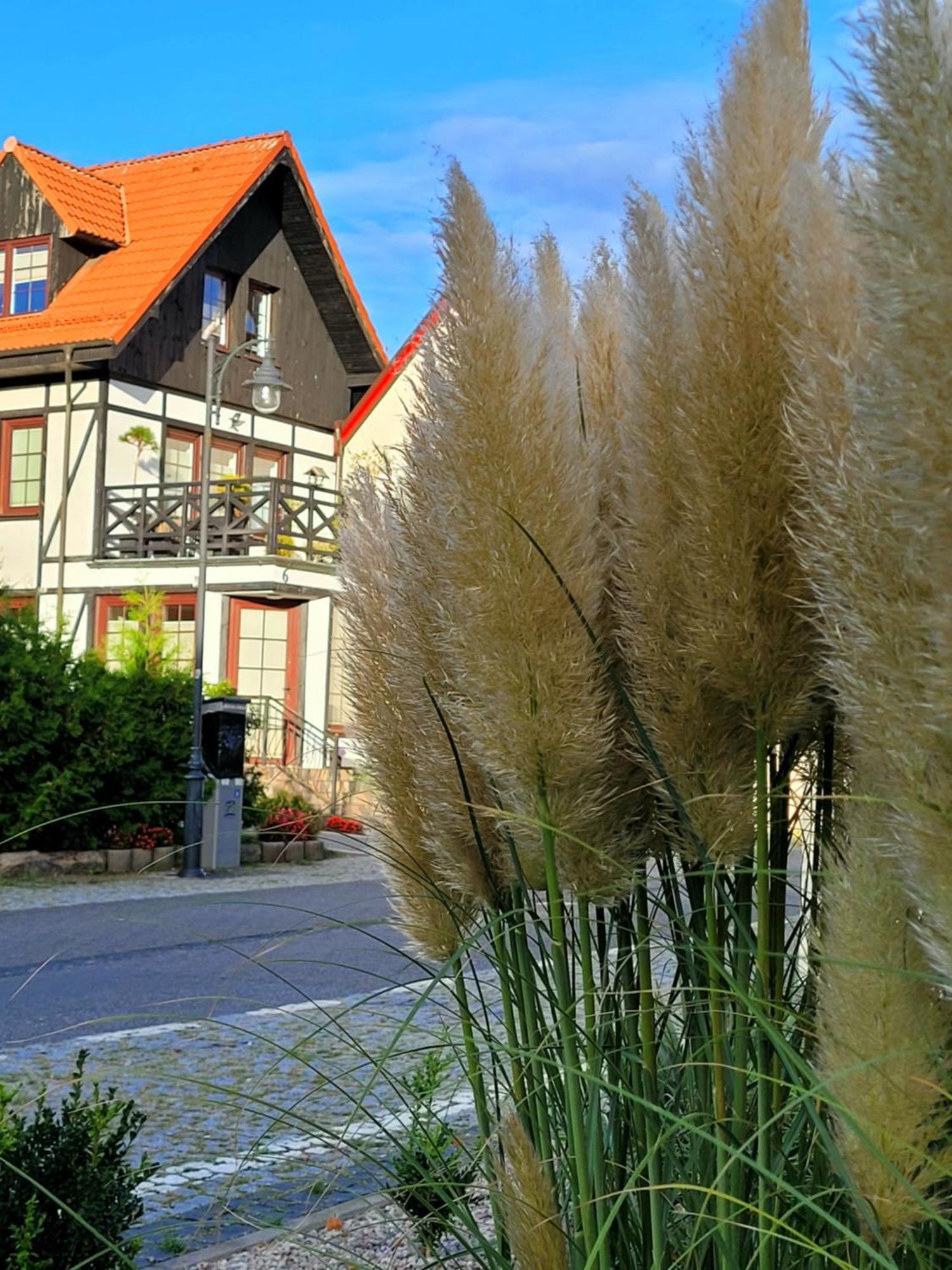Dom Aptekarza Ustka Buitenkant foto